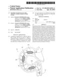 METHODS AND DEVICES TO CURB APPETITE AND/OR TO REDUCE FOOD INTAKE diagram and image