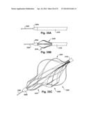 APPARATUS AND METHOD FOR TARGETING A BODY TISSUE diagram and image