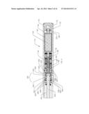 INTRAMEDULLARY IMPLANTS FOR REPLACING LOST BONE diagram and image