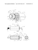 INTRAMEDULLARY IMPLANTS FOR REPLACING LOST BONE diagram and image