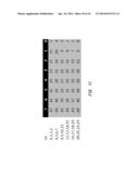 HIGH PERFORMANCE INTERCONNECT PHYSICAL LAYER diagram and image