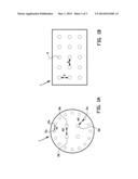 FLEXIBLE BIODEGRADABLE PACKAGE FOR FLOWER BULBS diagram and image