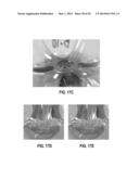 Control of Bubble Size in a Carbonated Liquid diagram and image