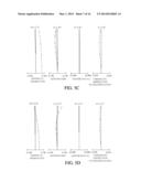 ZOOM LENS AND IMAGE PICKUP APPARATUS diagram and image