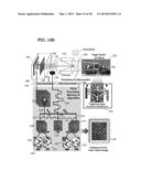 SYSTEM AND PROCESSOR IMPLEMENTED METHOD FOR IMPROVED IMAGE QUALITY AND     ENHANCEMENT diagram and image