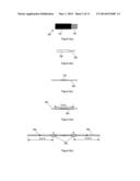 FIBER BRAGG GRATING (FBG) SENSOR diagram and image