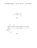 FIBER BRAGG GRATING (FBG) SENSOR diagram and image