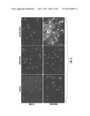 USE OF CARBON NANOMATERIALS WITH ANTIOXIDANT PROPERTIES TO TREAT OXIDATIVE     STRESS diagram and image