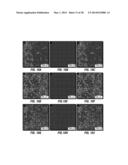 USE OF CARBON NANOMATERIALS WITH ANTIOXIDANT PROPERTIES TO TREAT OXIDATIVE     STRESS diagram and image