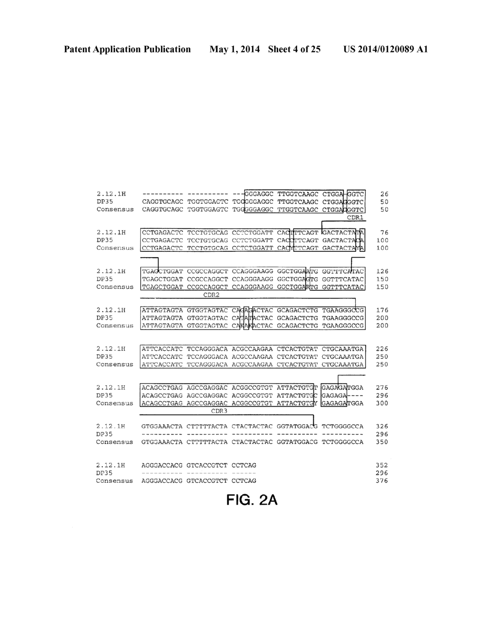 ANTIBODIES TO INSULIN-LIKE GROWTH FACTOR I RECEPTOR - diagram, schematic, and image 05