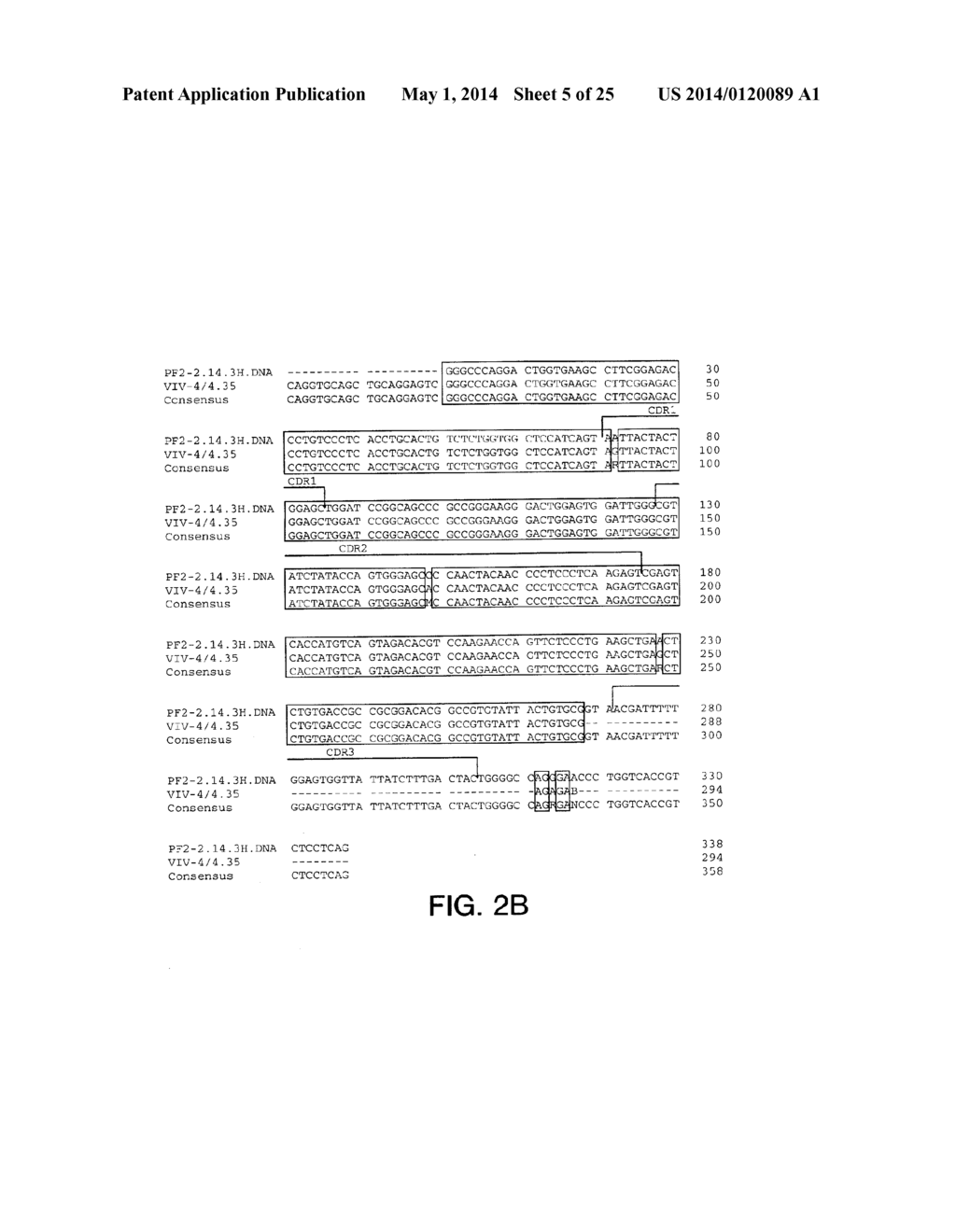 ANTIBODIES TO INSULIN-LIKE GROWTH FACTOR I RECEPTOR - diagram, schematic, and image 06