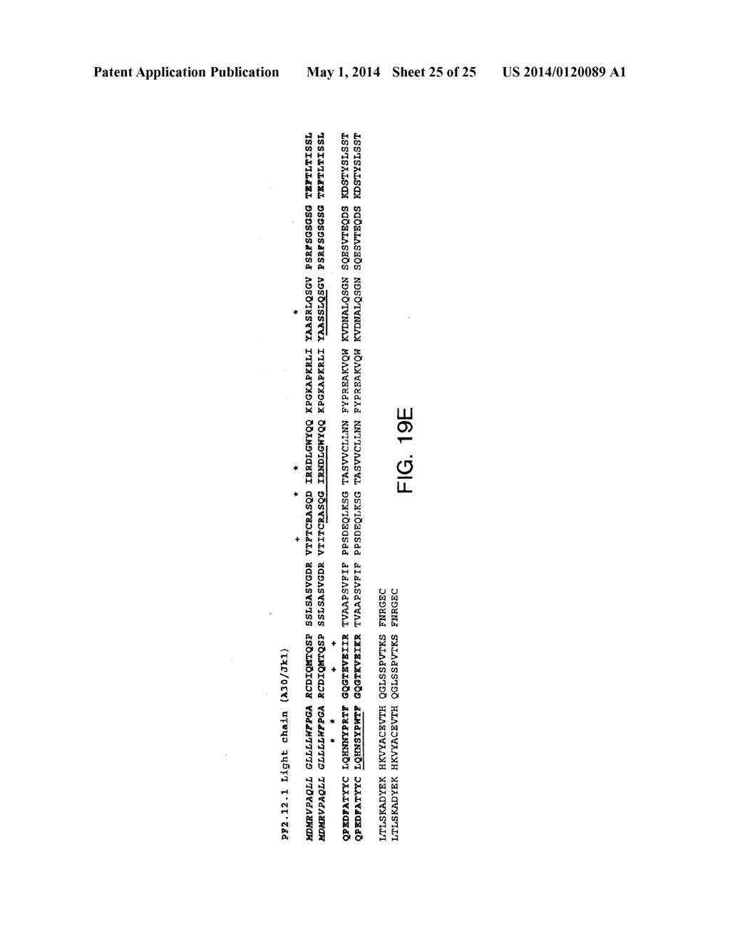 ANTIBODIES TO INSULIN-LIKE GROWTH FACTOR I RECEPTOR - diagram, schematic, and image 26