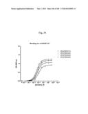 BISPECIFIC BINDING MOLECULES FOR ANTI-ANGIOGENESIS THERAPY diagram and image