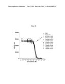 BISPECIFIC BINDING MOLECULES FOR ANTI-ANGIOGENESIS THERAPY diagram and image