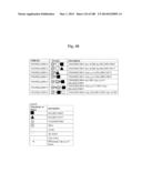 BISPECIFIC BINDING MOLECULES FOR ANTI-ANGIOGENESIS THERAPY diagram and image