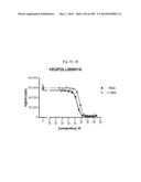 BISPECIFIC BINDING MOLECULES FOR ANTI-ANGIOGENESIS THERAPY diagram and image