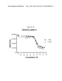 BISPECIFIC BINDING MOLECULES FOR ANTI-ANGIOGENESIS THERAPY diagram and image