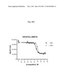 BISPECIFIC BINDING MOLECULES FOR ANTI-ANGIOGENESIS THERAPY diagram and image