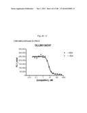 BISPECIFIC BINDING MOLECULES FOR ANTI-ANGIOGENESIS THERAPY diagram and image