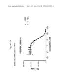 BISPECIFIC BINDING MOLECULES FOR ANTI-ANGIOGENESIS THERAPY diagram and image