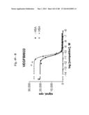 BISPECIFIC BINDING MOLECULES FOR ANTI-ANGIOGENESIS THERAPY diagram and image