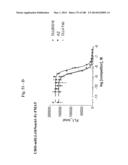 BISPECIFIC BINDING MOLECULES FOR ANTI-ANGIOGENESIS THERAPY diagram and image