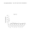 BISPECIFIC BINDING MOLECULES FOR ANTI-ANGIOGENESIS THERAPY diagram and image