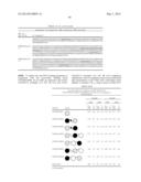 BISPECIFIC BINDING MOLECULES FOR ANTI-ANGIOGENESIS THERAPY diagram and image