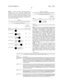 BISPECIFIC BINDING MOLECULES FOR ANTI-ANGIOGENESIS THERAPY diagram and image