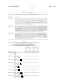 BISPECIFIC BINDING MOLECULES FOR ANTI-ANGIOGENESIS THERAPY diagram and image