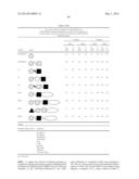 BISPECIFIC BINDING MOLECULES FOR ANTI-ANGIOGENESIS THERAPY diagram and image