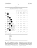 BISPECIFIC BINDING MOLECULES FOR ANTI-ANGIOGENESIS THERAPY diagram and image