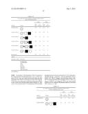 BISPECIFIC BINDING MOLECULES FOR ANTI-ANGIOGENESIS THERAPY diagram and image