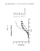 BISPECIFIC BINDING MOLECULES FOR ANTI-ANGIOGENESIS THERAPY diagram and image