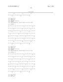 BISPECIFIC BINDING MOLECULES FOR ANTI-ANGIOGENESIS THERAPY diagram and image