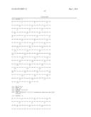 BISPECIFIC BINDING MOLECULES FOR ANTI-ANGIOGENESIS THERAPY diagram and image