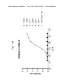 BISPECIFIC BINDING MOLECULES FOR ANTI-ANGIOGENESIS THERAPY diagram and image