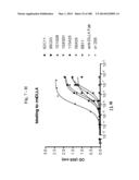 BISPECIFIC BINDING MOLECULES FOR ANTI-ANGIOGENESIS THERAPY diagram and image