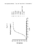 BISPECIFIC BINDING MOLECULES FOR ANTI-ANGIOGENESIS THERAPY diagram and image