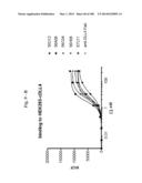 BISPECIFIC BINDING MOLECULES FOR ANTI-ANGIOGENESIS THERAPY diagram and image