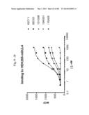 BISPECIFIC BINDING MOLECULES FOR ANTI-ANGIOGENESIS THERAPY diagram and image