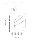 BISPECIFIC BINDING MOLECULES FOR ANTI-ANGIOGENESIS THERAPY diagram and image