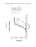 BISPECIFIC BINDING MOLECULES FOR ANTI-ANGIOGENESIS THERAPY diagram and image