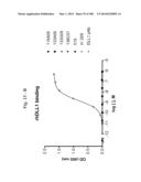 BISPECIFIC BINDING MOLECULES FOR ANTI-ANGIOGENESIS THERAPY diagram and image