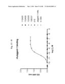 BISPECIFIC BINDING MOLECULES FOR ANTI-ANGIOGENESIS THERAPY diagram and image