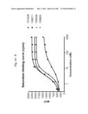 BISPECIFIC BINDING MOLECULES FOR ANTI-ANGIOGENESIS THERAPY diagram and image