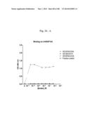 BISPECIFIC BINDING MOLECULES FOR ANTI-ANGIOGENESIS THERAPY diagram and image