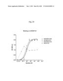 BISPECIFIC BINDING MOLECULES FOR ANTI-ANGIOGENESIS THERAPY diagram and image