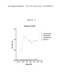 BISPECIFIC BINDING MOLECULES FOR ANTI-ANGIOGENESIS THERAPY diagram and image