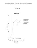 BISPECIFIC BINDING MOLECULES FOR ANTI-ANGIOGENESIS THERAPY diagram and image